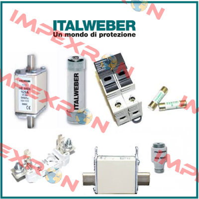 0106100  Italweber