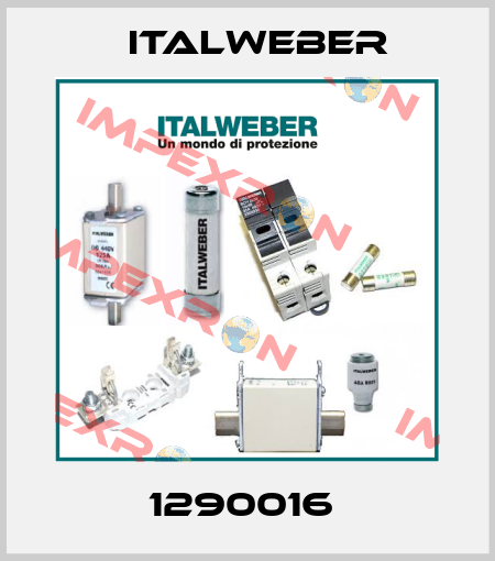 1290016  Italweber