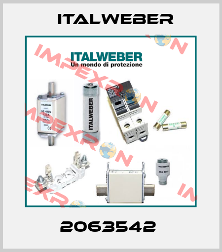 2063542  Italweber