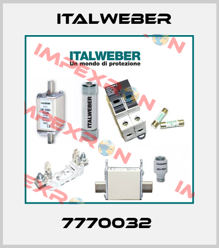7770032  Italweber