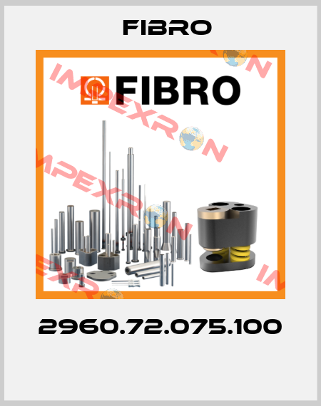 2960.72.075.100  Fibro