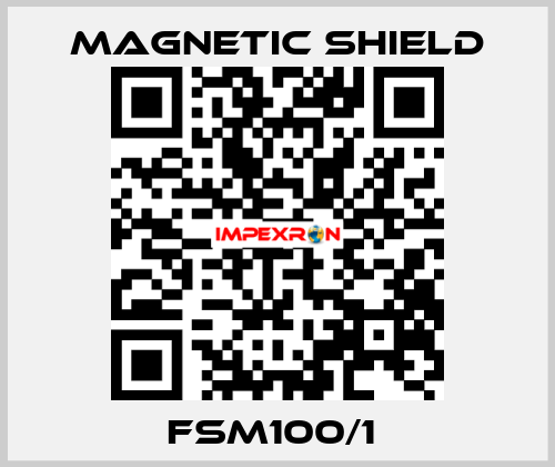 FSM100/1  Magnetic Shield