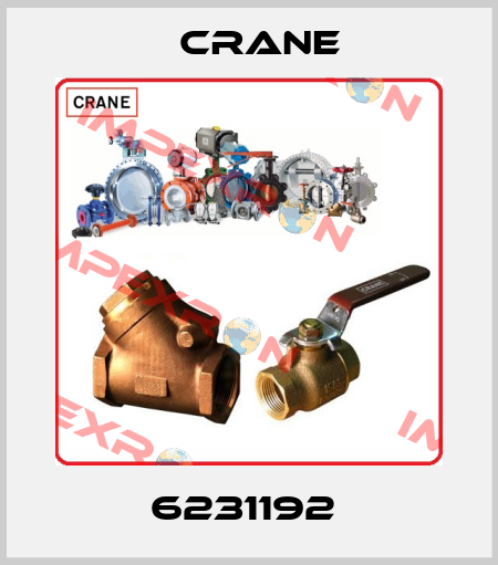 6231192  Crane