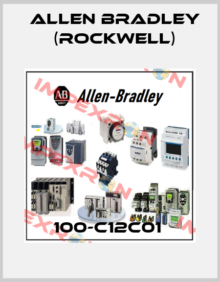 100-C12C01  Allen Bradley (Rockwell)