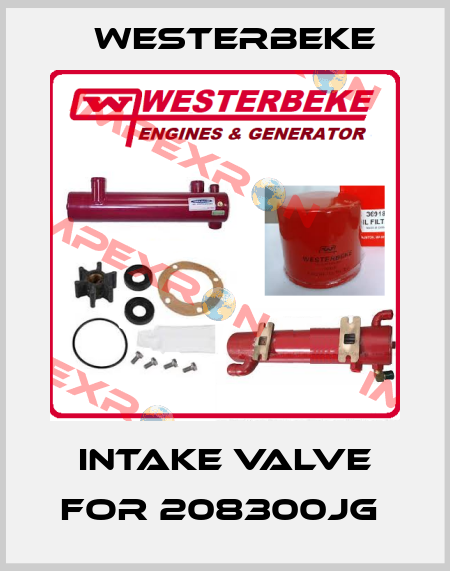 Intake valve for 208300JG  Westerbeke