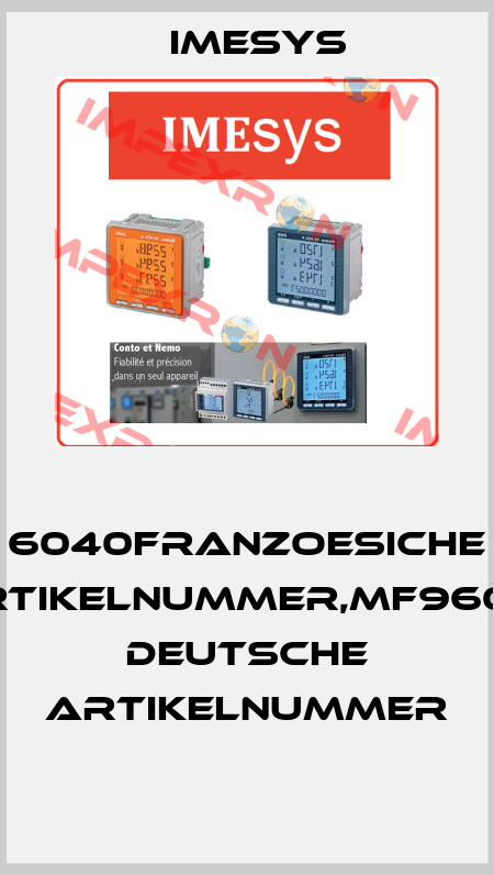  6040Franzoesiche Artikelnummer,MF96001 Deutsche Artikelnummer  Imesys