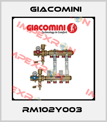 RM102Y003  Giacomini