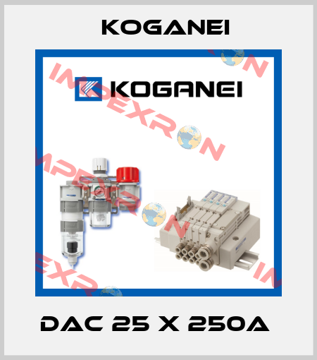 DAC 25 X 250A  Koganei