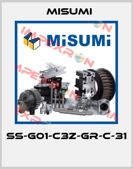 SS-G01-C3Z-GR-C-31  Misumi