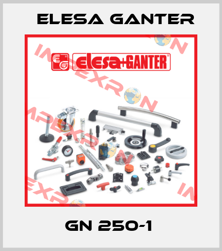 GN 250-1  Elesa Ganter