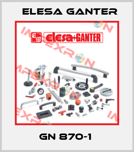 GN 870-1  Elesa Ganter