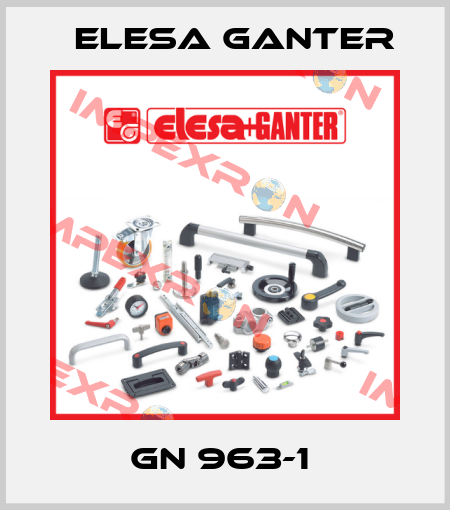 GN 963-1  Elesa Ganter