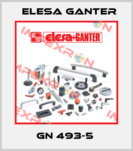 GN 493-5  Elesa Ganter