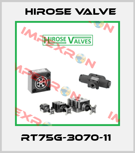 RT75G-3070-11  Hirose Valve