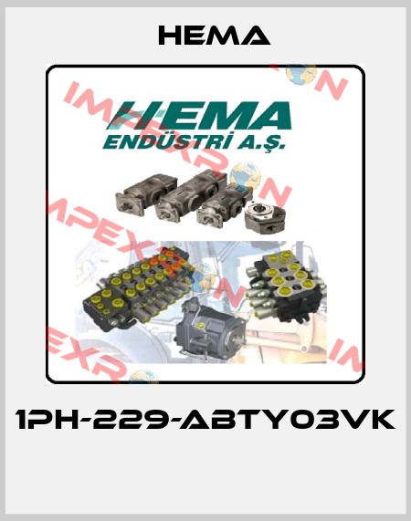 1PH-229-ABTY03VK  Hema