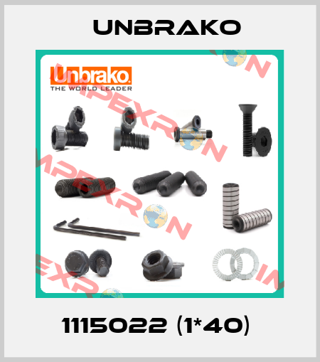 1115022 (1*40)  Unbrako
