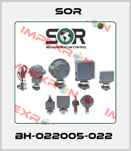 BH-022005-022  Sor