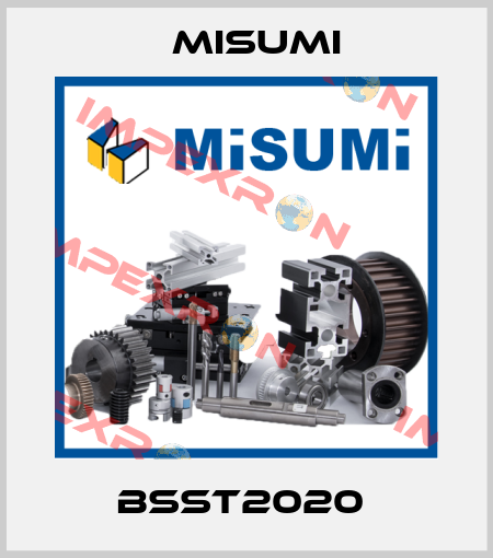 BSST2020  Misumi