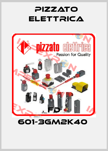 FD 601-3GM2K40  Pizzato Elettrica