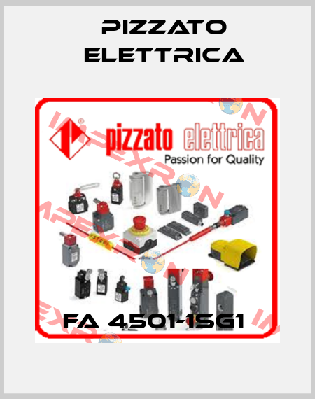 FA 4501-1SG1  Pizzato Elettrica
