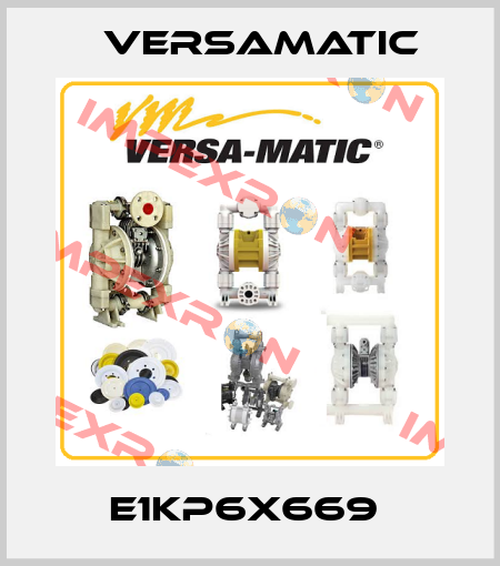 E1KP6X669  VersaMatic