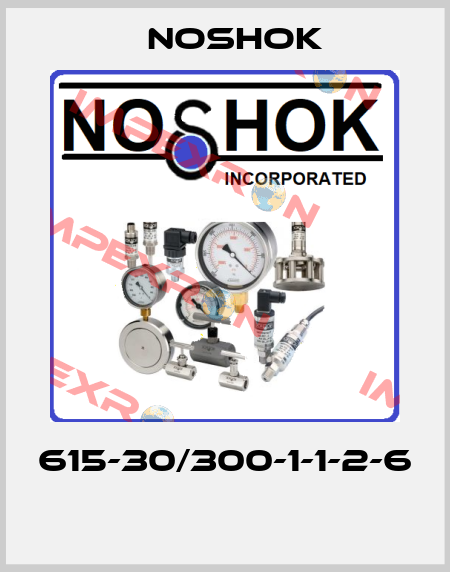 615-30/300-1-1-2-6  Noshok