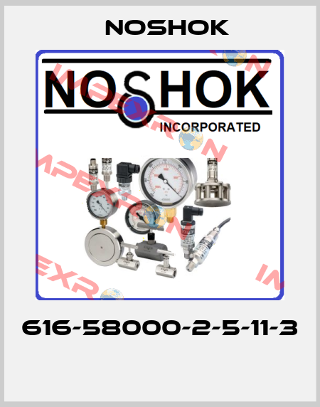 616-58000-2-5-11-3  Noshok