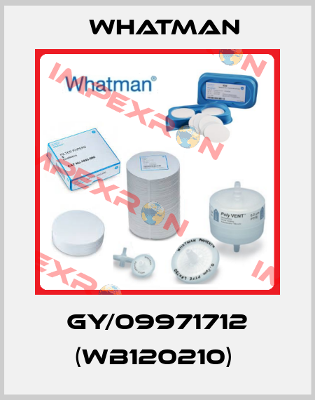 GY/09971712 (WB120210)  Whatman