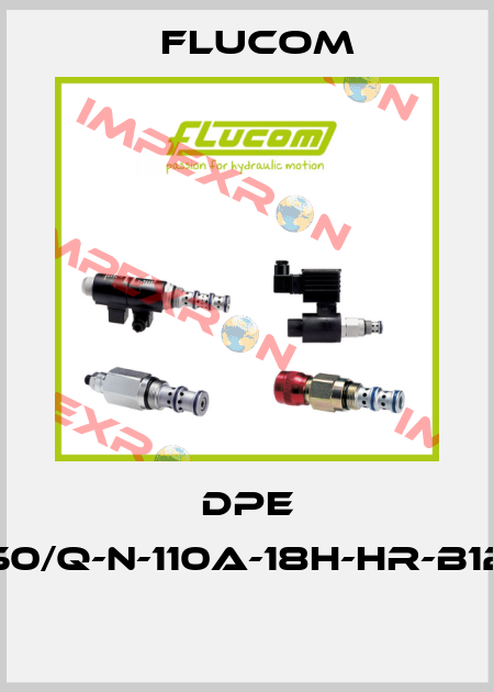 DPE 50/Q-N-110A-18H-HR-B12  Flucom