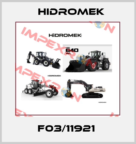 F03/11921  Hidromek