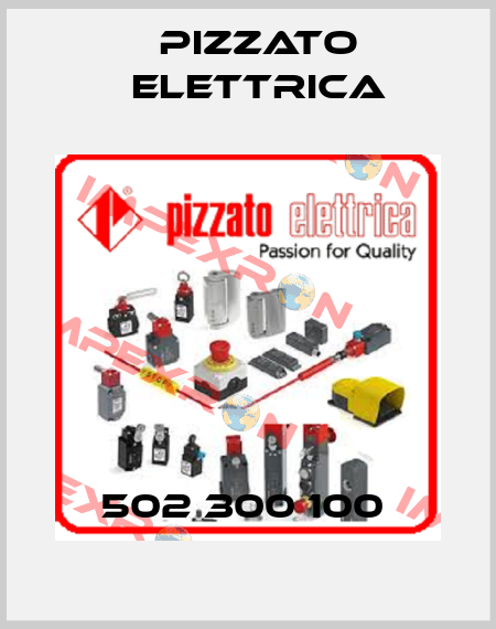 502 300 100  Pizzato Elettrica