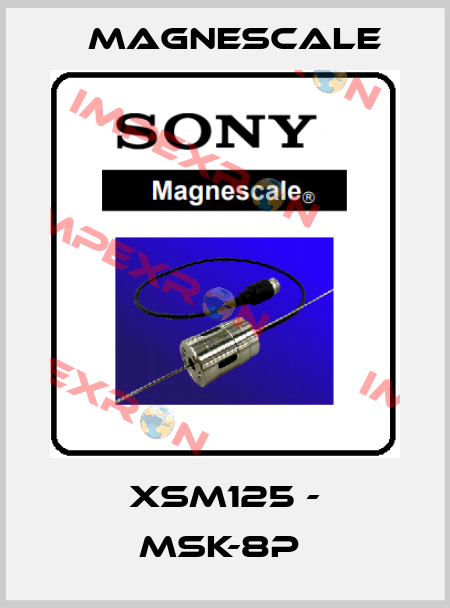 XSM125 - MSK-8P  Magnescale