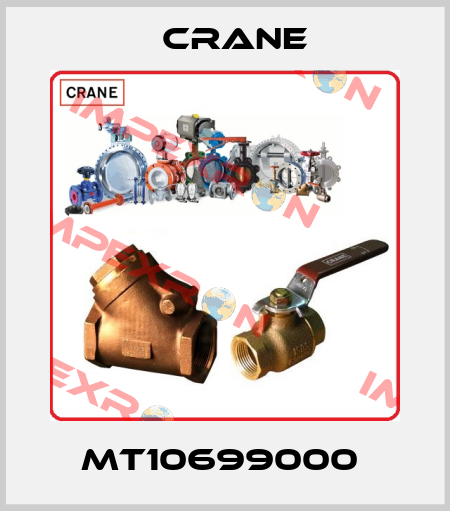 MT10699000  Crane
