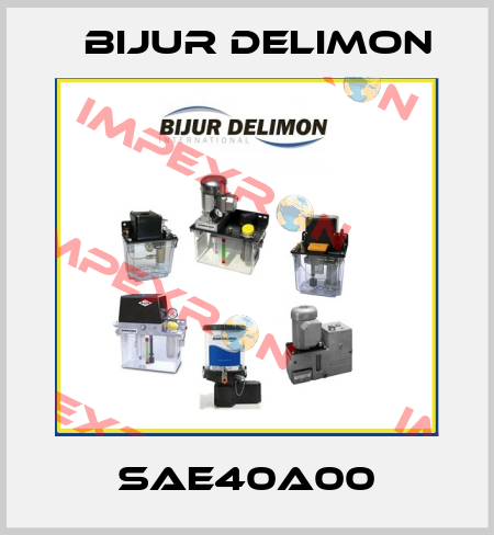 SAE40A00 Bijur Delimon