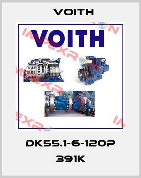 DK55.1-6-120P 391K Voith
