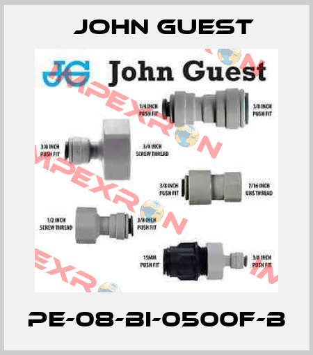 PE-08-BI-0500F-B John Guest