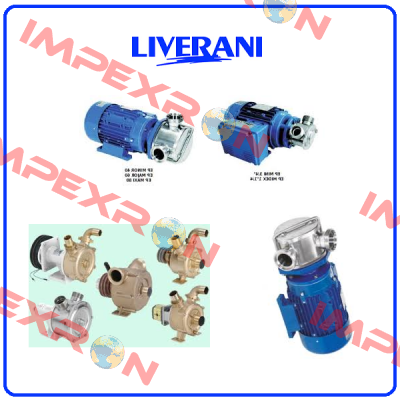 8231IJMG24V Liverani