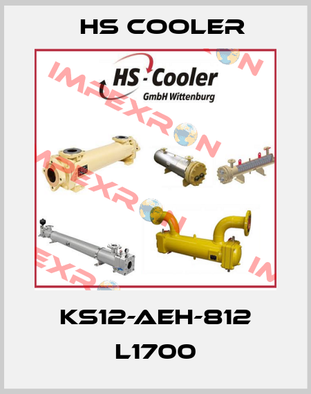 KS12-AEH-812 L1700 HS Cooler