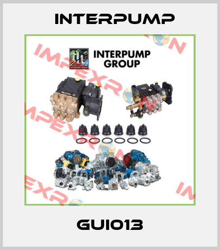 GUI013 Interpump