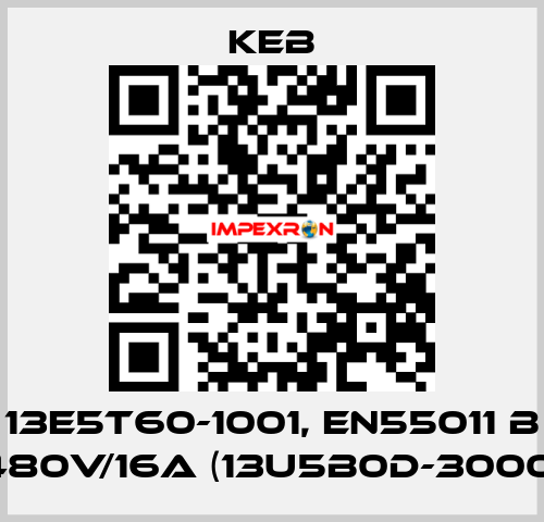 13E5T60-1001, EN55011 B 480V/16A (13U5B0D-3000) KEB