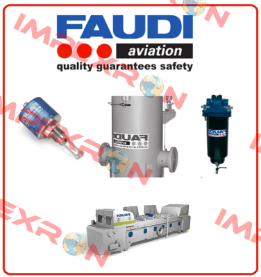 Filter for FW6-5 FAUDI