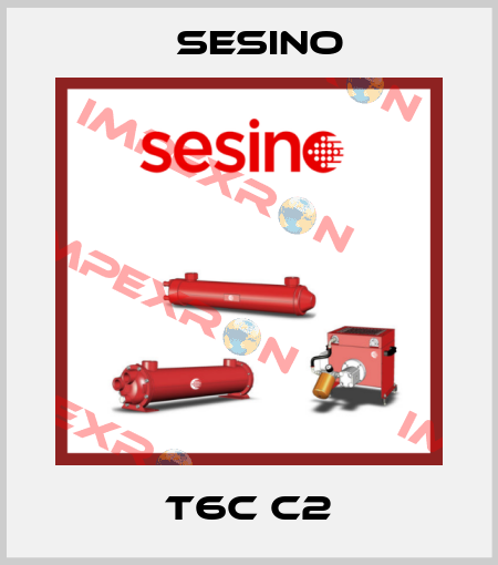 T6C C2 Sesino