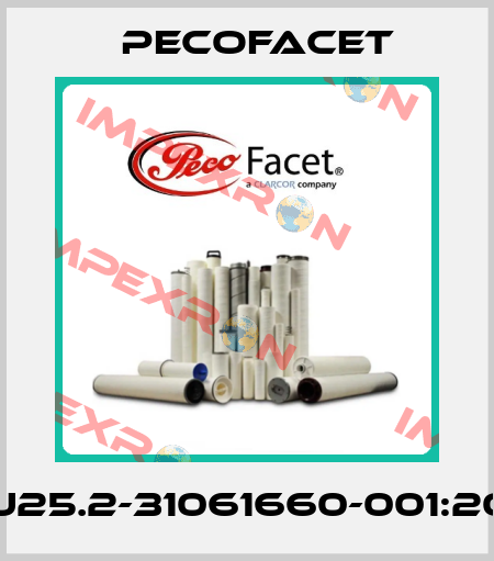 TUU25.2-31061660-001:2005 PECOFacet
