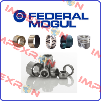 5686151906BS Federal Mogul