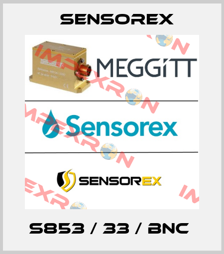 S853 / 33 / BNC  Sensorex