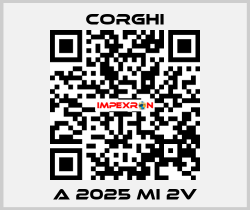 A 2025 MI 2V Corghi