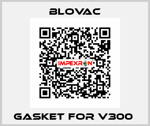 Gasket for V300  BLOVAC