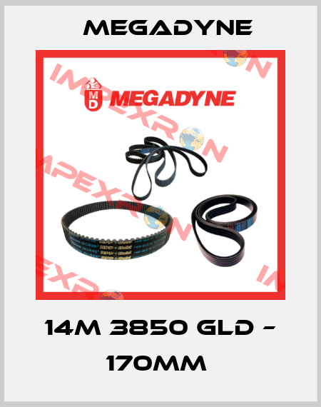 14M 3850 GLD – 170MM  Megadyne