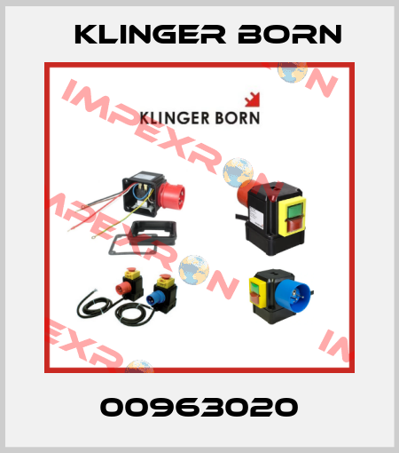 00963020 Klinger Born