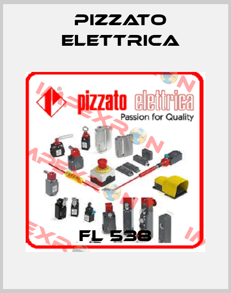 FL 538 Pizzato Elettrica